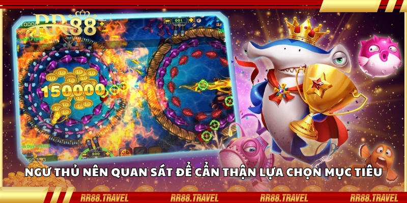 Ngư thủ nên quan sát để cẩn thận lựa chọn mục tiêu Ngư thủ nên quan sát để cẩn thận lựa chọn mục tiêu